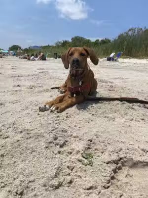 Fisherman's Cove Conservation Area - Manasquan, NJ