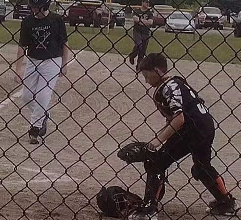 Palmer Park Mancelona Mi - Mancelona,