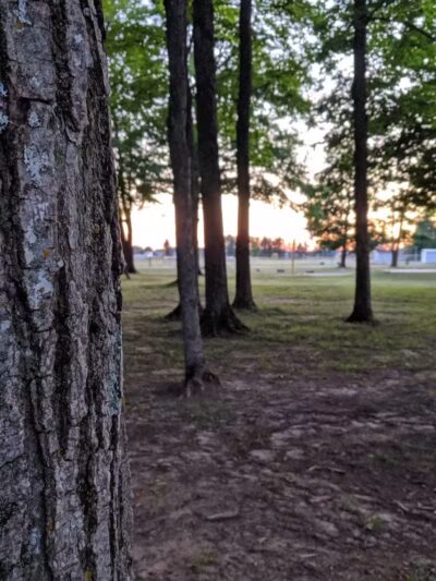 Palmer Park Mancelona Mi - Mancelona,