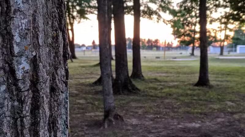 Palmer Park Mancelona Mi - Mancelona,