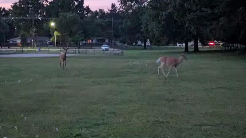 Carr Park - Manchester,