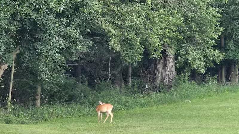 Carr Park - Manchester,