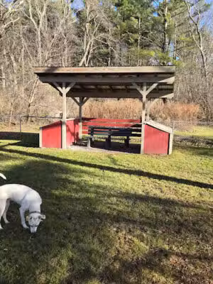 Manchester Dog Park - Manchester Center, VT