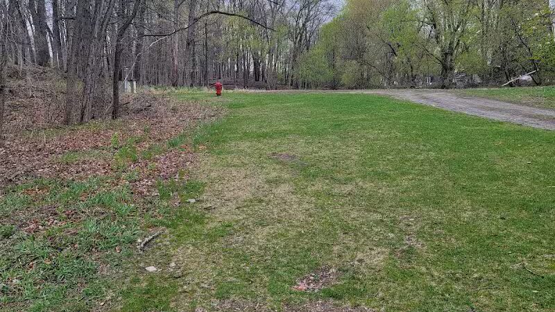 Chi-Bro Park - Manchester,