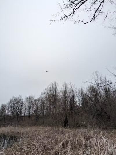 Chi-Bro Park - Manchester,