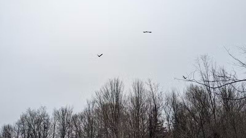 Chi-Bro Park - Manchester,