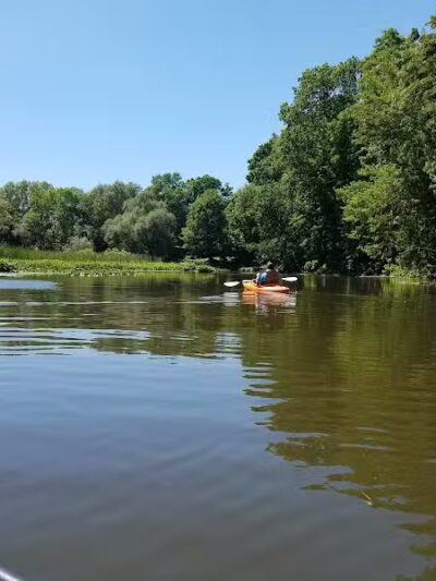 Chi-Bro Park - Manchester,