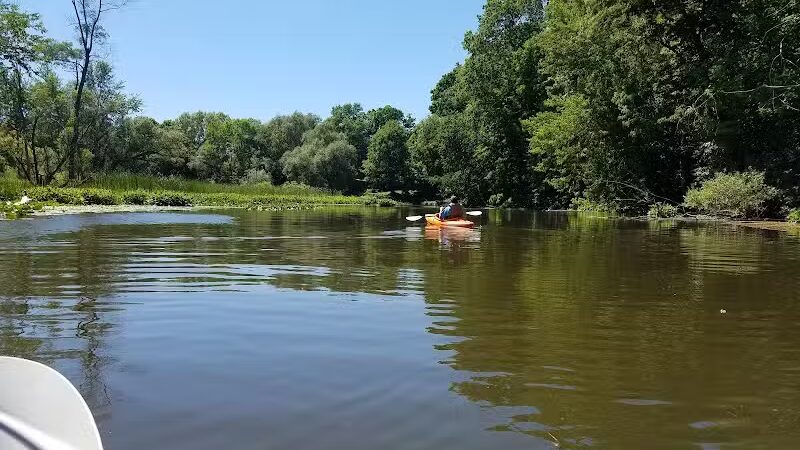 Chi-Bro Park - Manchester,
