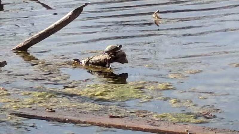 Chi-Bro Park - Manchester,