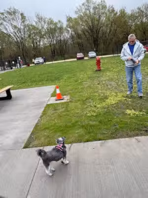 Manchester Dog Park - Manchester, IA