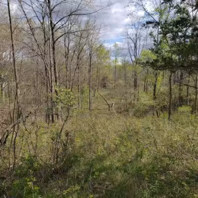Leonard Preserve - Manchester,