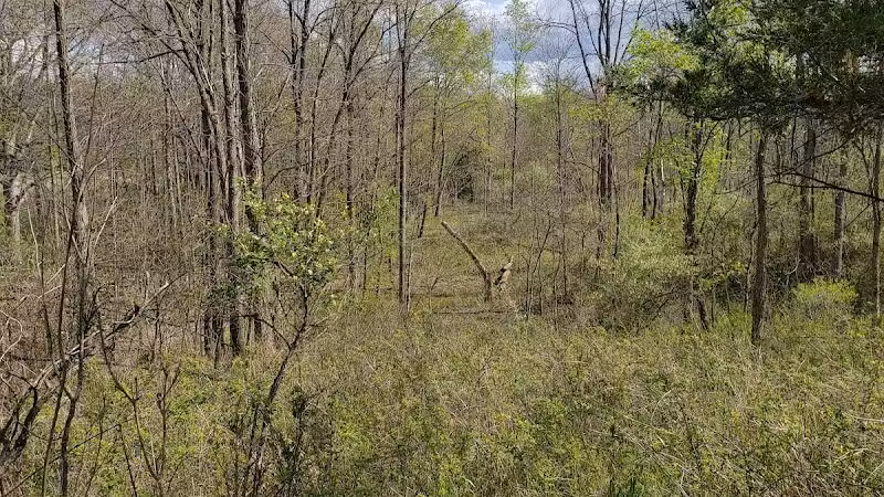 Leonard Preserve - Manchester,