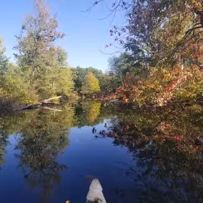 Leonard Preserve - Manchester,