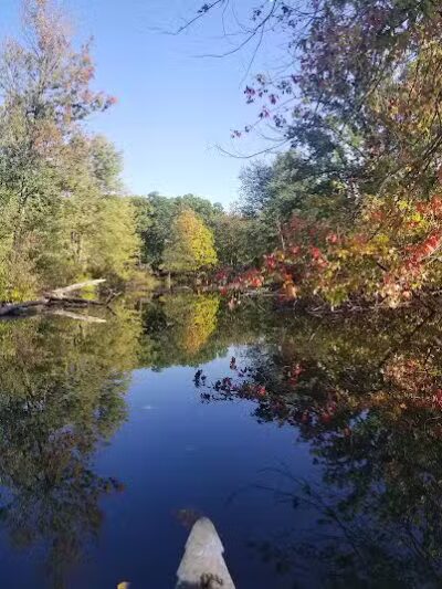 Leonard Preserve - Manchester,