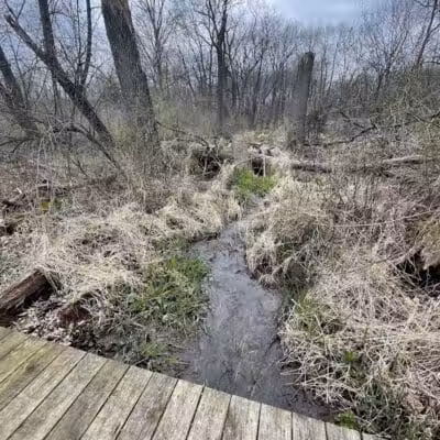 Leonard Preserve - Manchester,