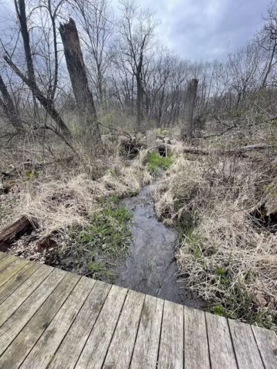 Leonard Preserve - Manchester,