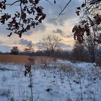 Leonard Preserve - Manchester,