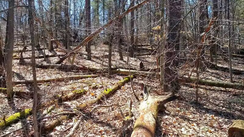 Leonard Preserve - Manchester,