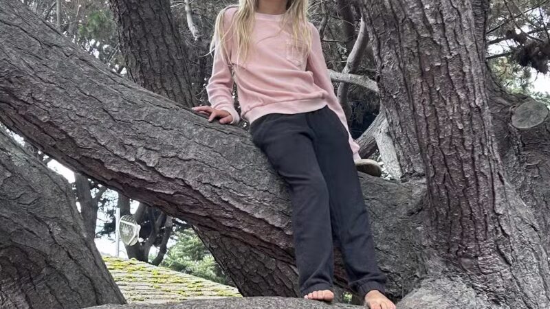 Manchester Beach / Mendocino Coast KOA Journey - Manchester, CA