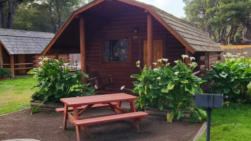 Manchester Beach / Mendocino Coast KOA Journey - Manchester, CA