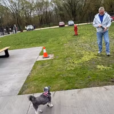 Manchester Dog Park - Manchester,