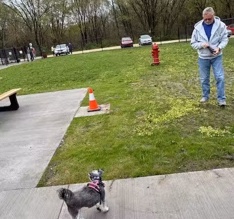 Manchester Dog Park - Manchester,