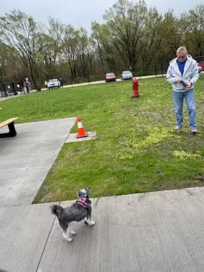 Manchester Dog Park - Manchester,