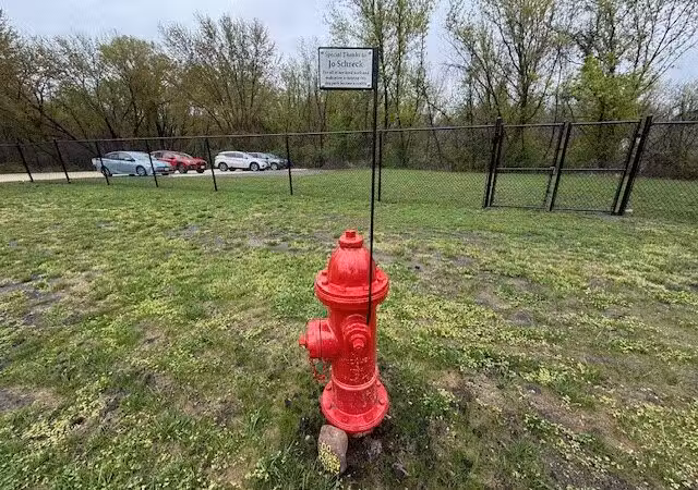 Manchester Dog Park - Manchester,