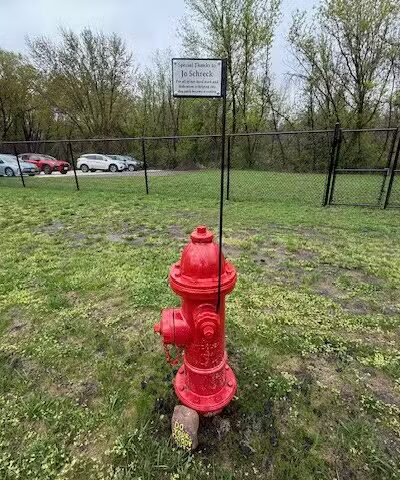 Manchester Dog Park - Manchester,