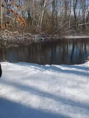 Leonard Preserve - Manchester,