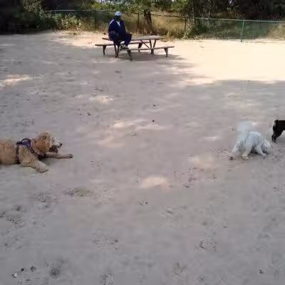 First Street Dog Park - Manistee, MI