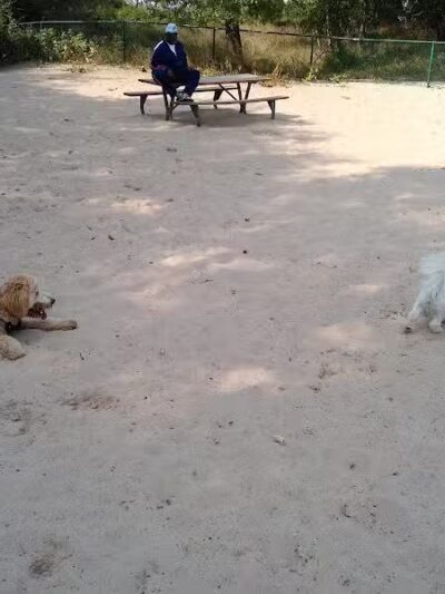 First Street Dog Park - Manistee, MI