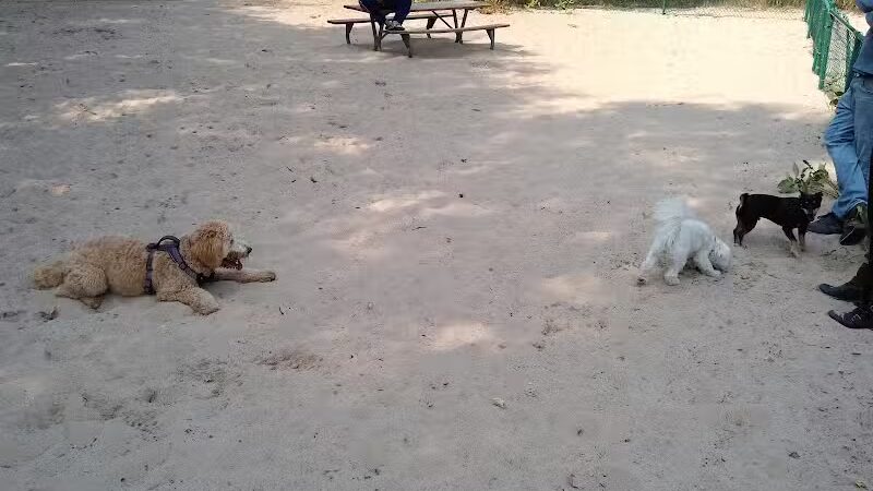First Street Dog Park - Manistee, MI