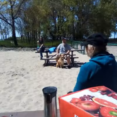 First Street Dog Park - Manistee, MI