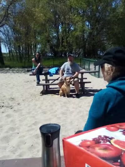 First Street Dog Park - Manistee, MI