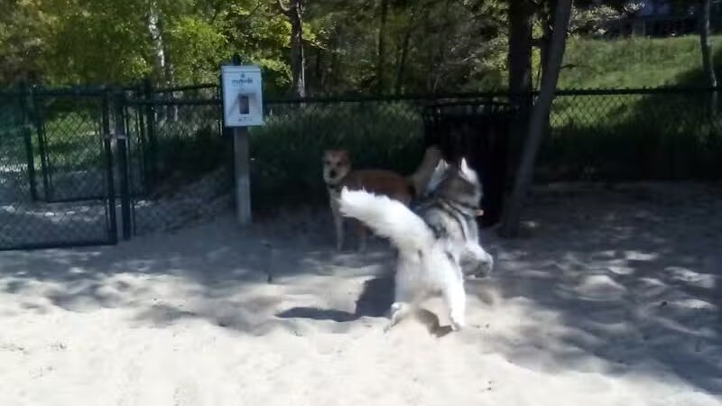 First Street Dog Park - Manistee, MI