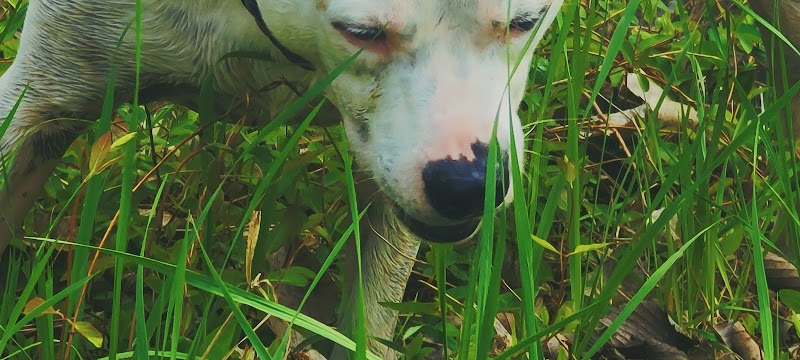 Mankato City Park - Mankato, KS