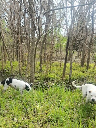 Mankato City Park - Mankato, KS