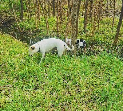 Mankato City Park - Mankato, KS