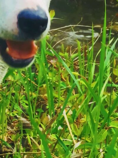 Mankato City Park - Mankato, KS