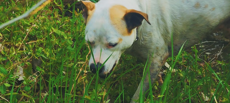 Mankato City Park - Mankato, KS