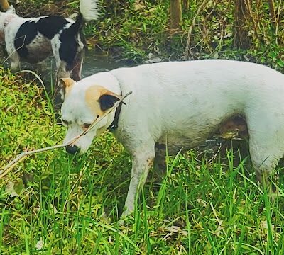 Mankato City Park - Mankato, KS