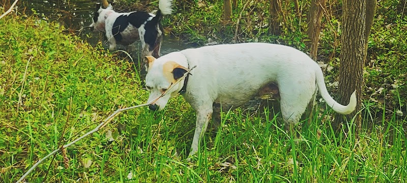 Mankato City Park - Mankato, KS