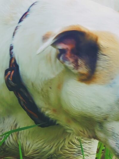 Mankato City Park - Mankato, KS