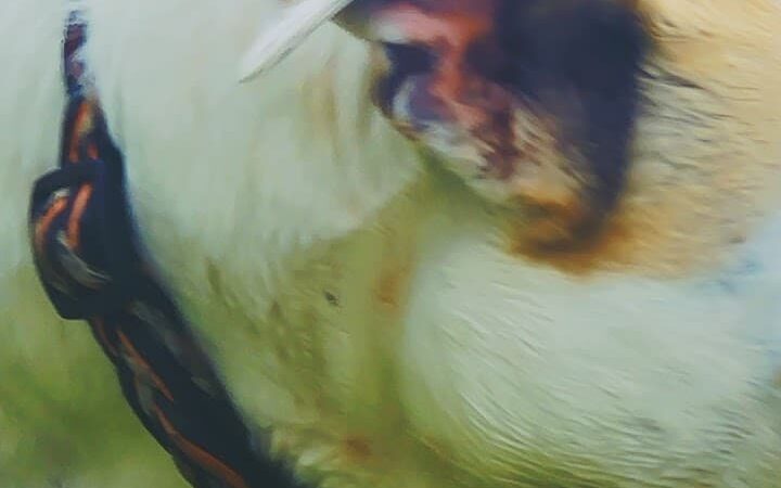 Mankato City Park - Mankato, KS