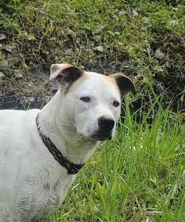 Mankato City Park - Mankato, KS