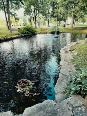 Rumford Ave Park (Fulton Pond) - Mansfield, MA