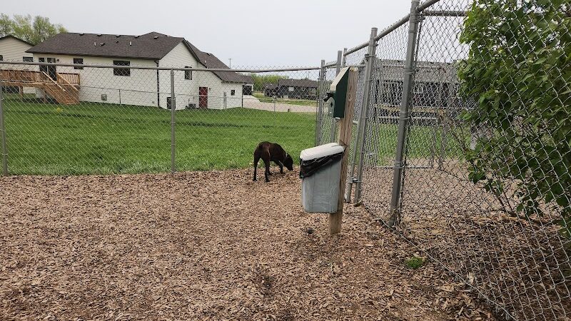 K-M Dog Park - Mantorville, MN