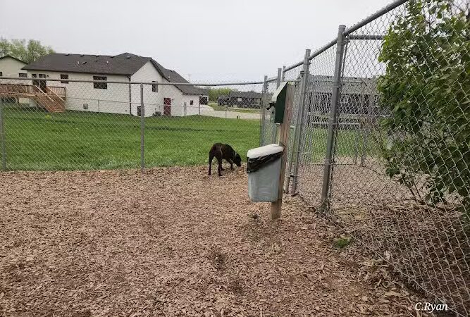K-M Dog Park - Mantorville, MN