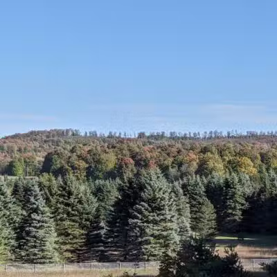 Myles Kimmerly Park - Maple City,